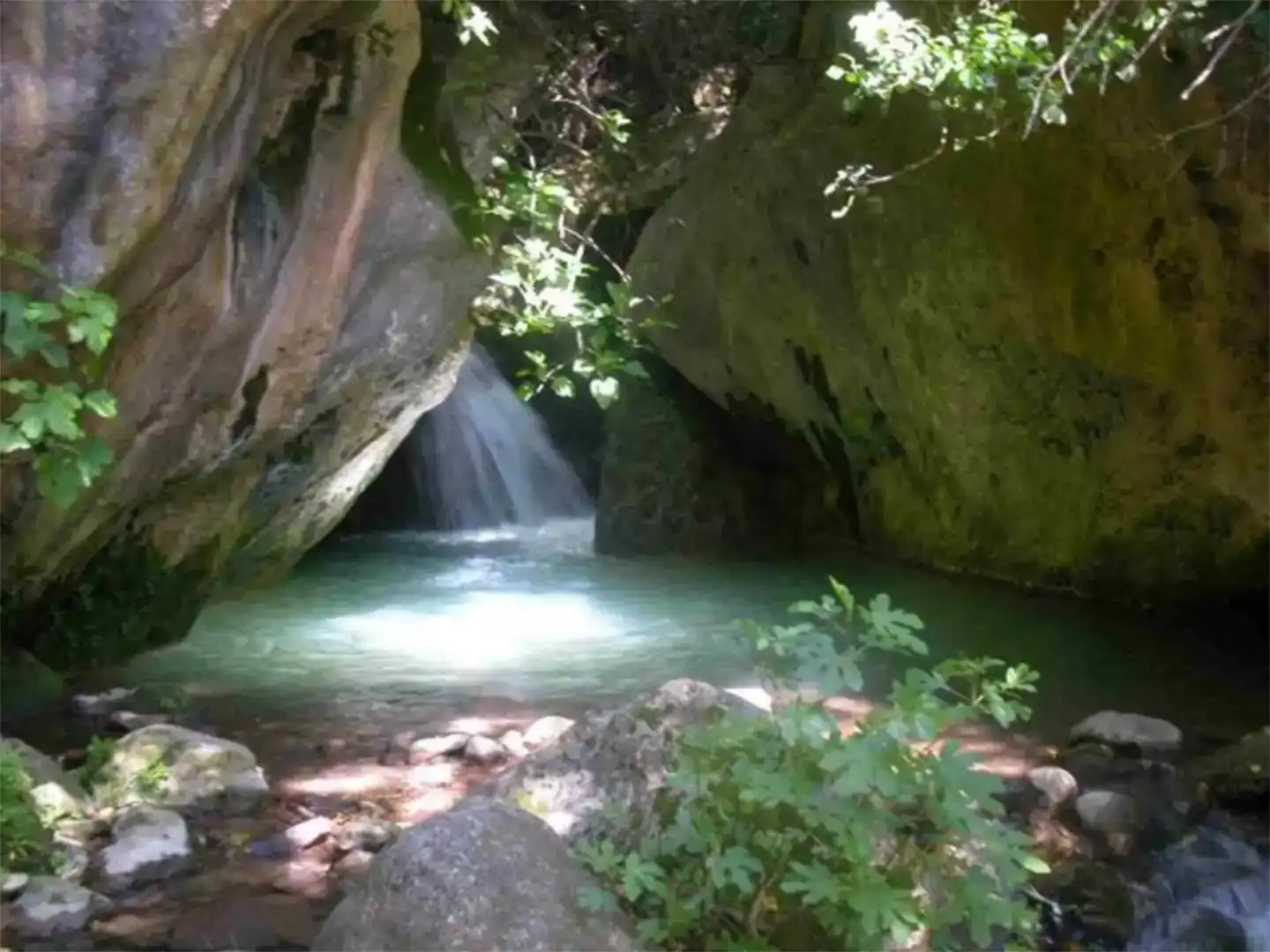 Piscina de Finca rústica en venda en Grazalema amb Jardí privat i Moblat