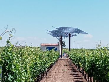Terrenos y solares en venta en Socuéllamos
