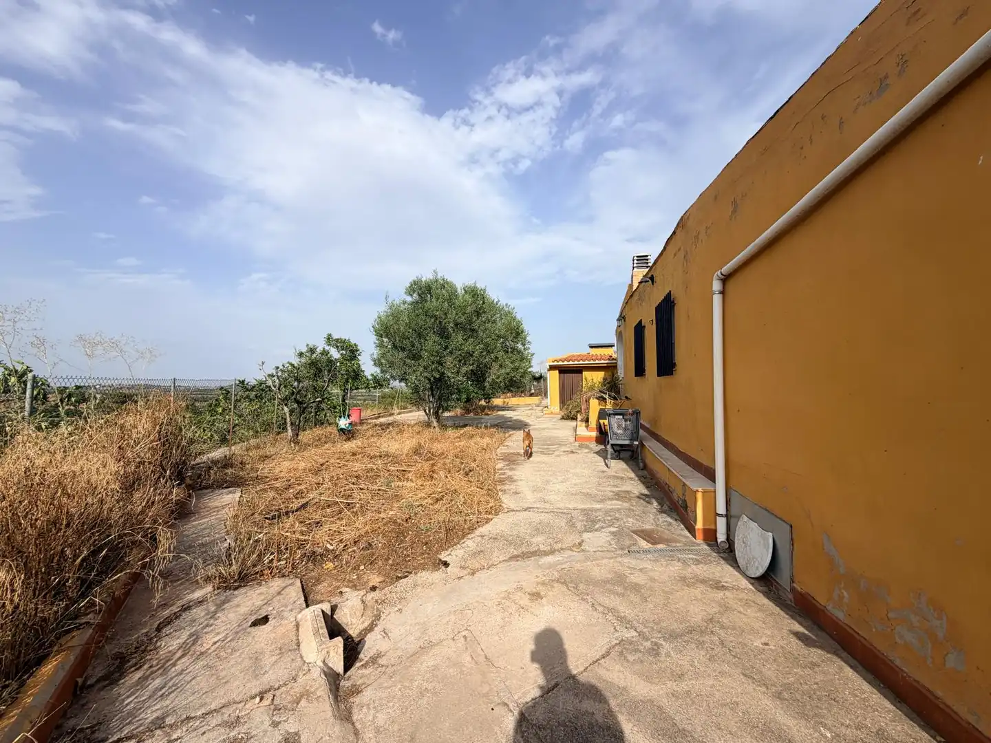 Casa o chalet en venta en Cheste con Jardín privado y Piscina