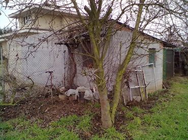 Terreno rustico in vendita a Calle Juan XXIII 95
