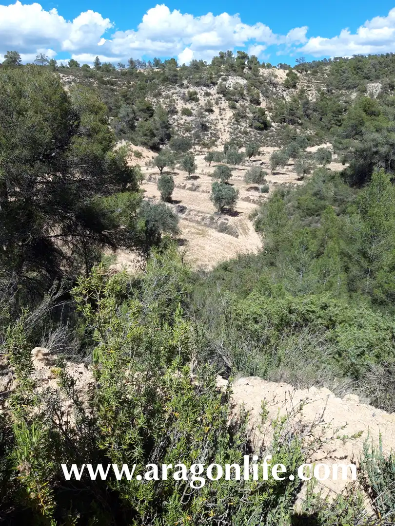 Casa rústica en venda a Fabara, imagen 3