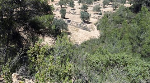 Foto 3 de Finca rústica en venta en Fabara, Zaragoza