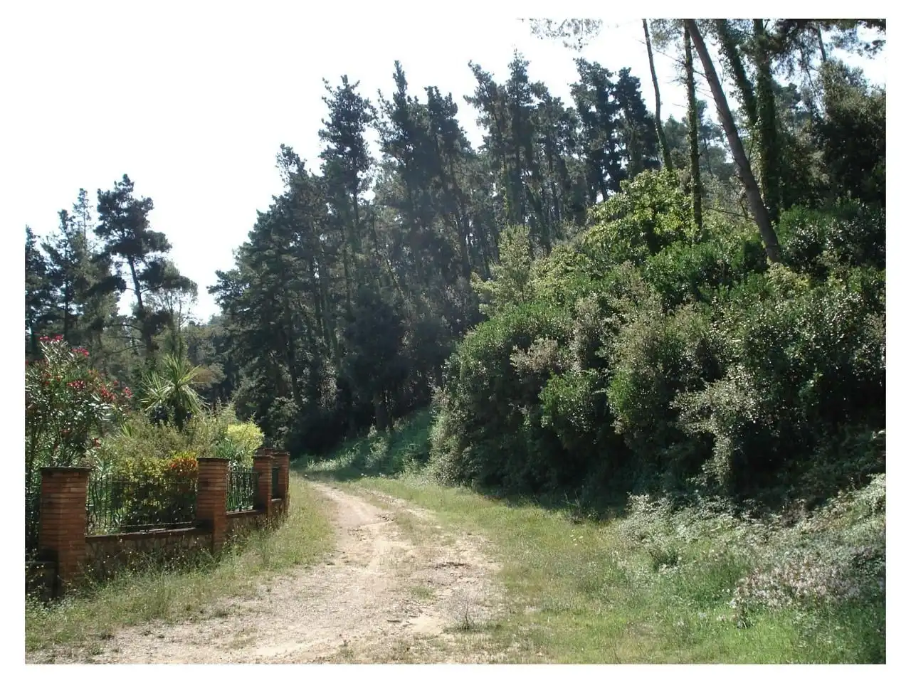 Residencial en venda en Vallromanes