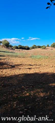 Terreno en Venta en Zona Rústica - Interior