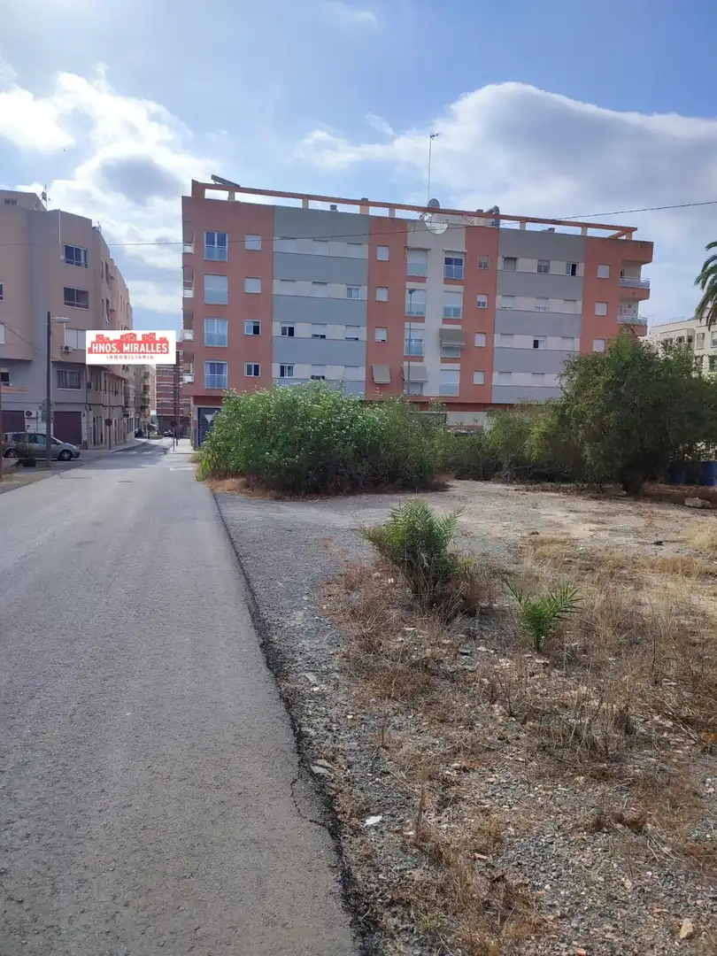 Country homes for sale in Elche / Elx