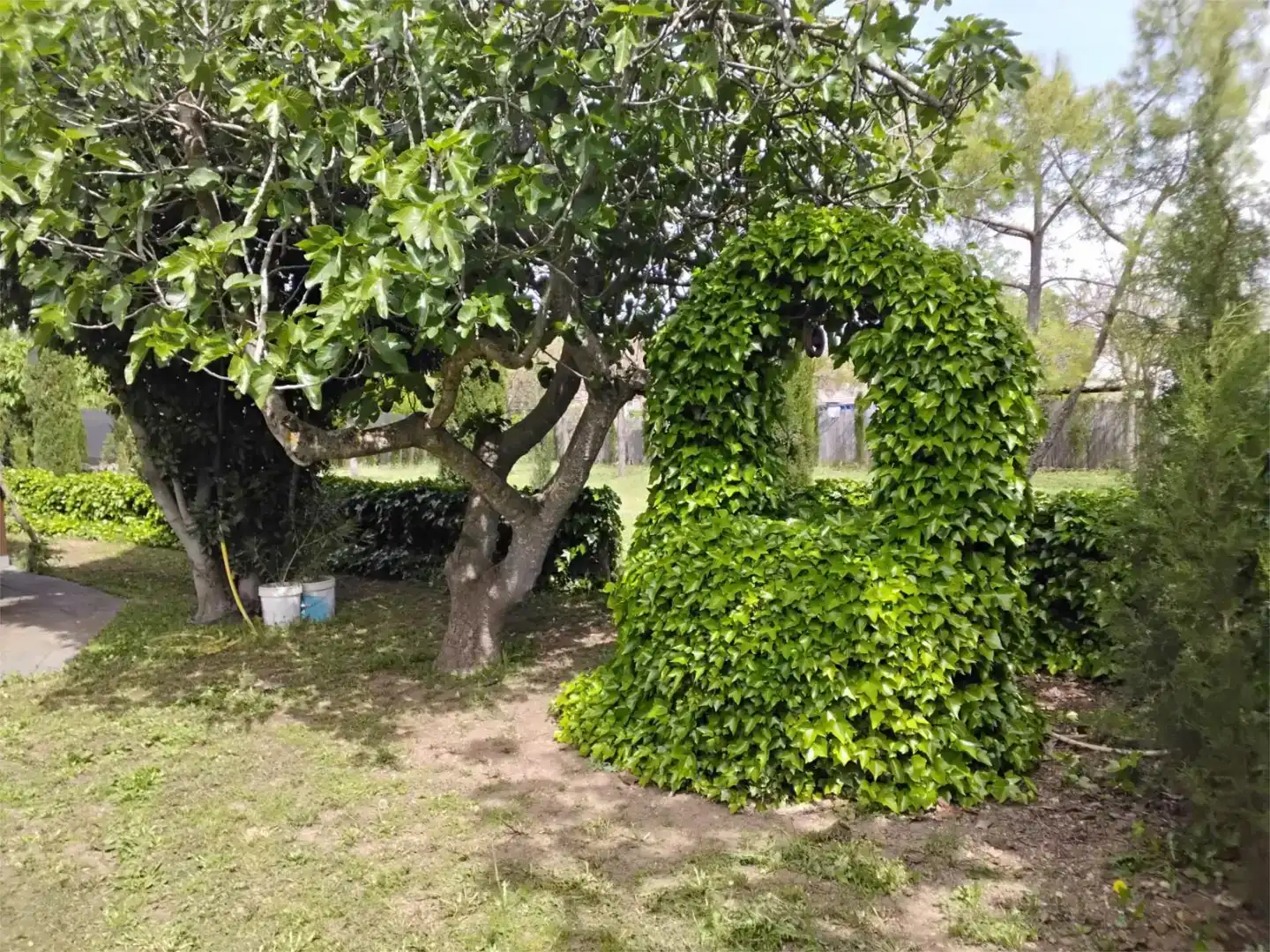 Jardí de Casa o xalet en venda en Miguelturra amb Piscina i Balcó