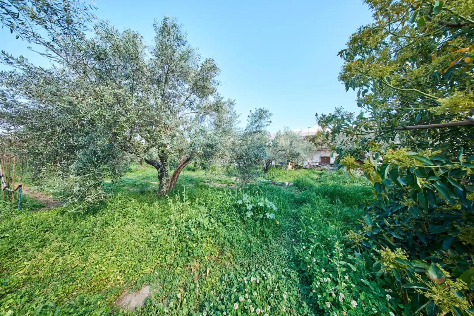 Casa rustica con giardino in vendita a Camino de la Vegueta, imagen 44