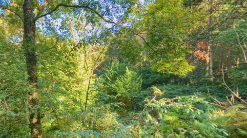 Photo 5 of Residential for sale in Vibaña - Ardisana - Caldueño, Llanes