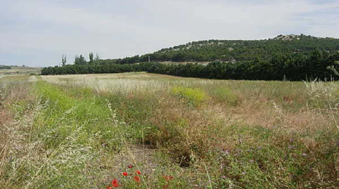 Foto 3 de Residencial en venta en San Miguel, 50, Íscar, Valladolid