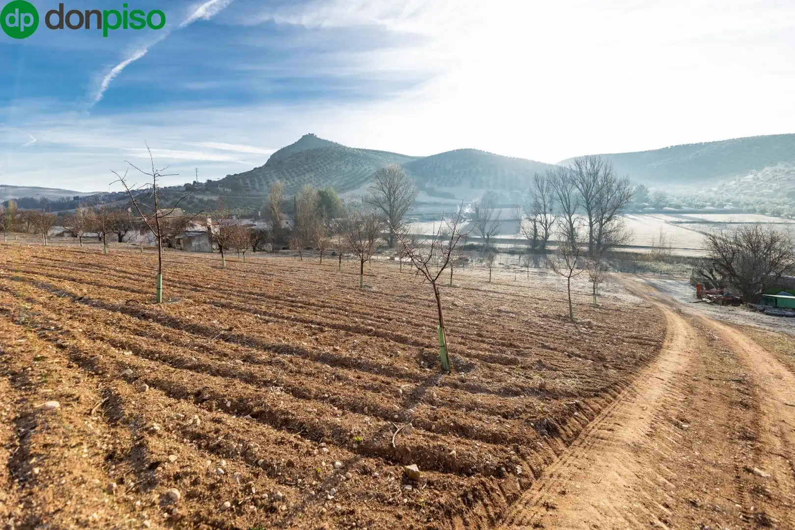 Finca rústica en venta en Calle CAGALONA, 3, Píñar