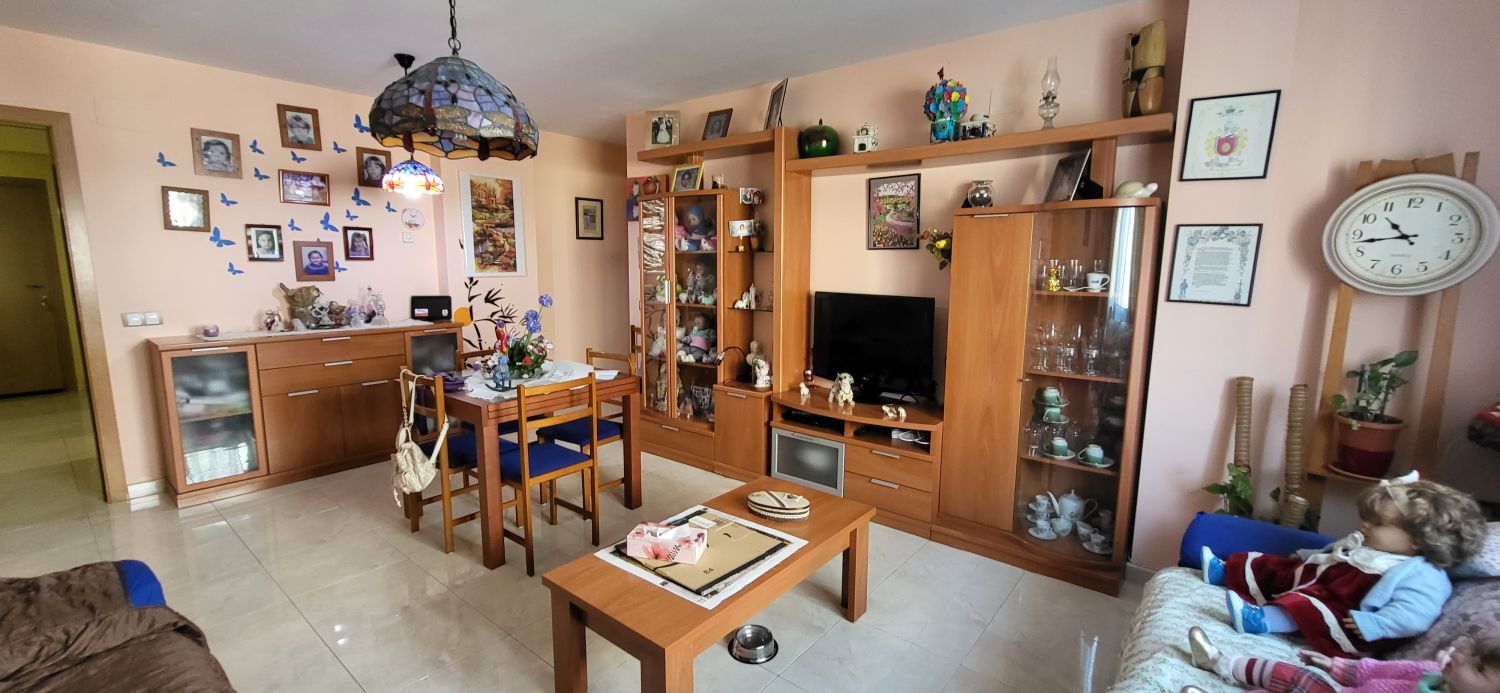 Sala de estar de Apartamento en venta en Tortosa