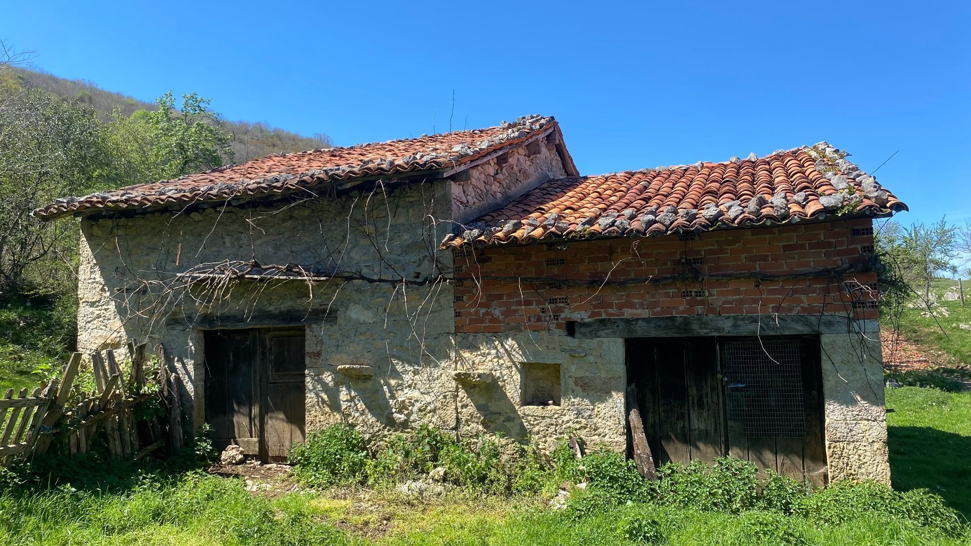 Exterior view of Land for sale in Onís
