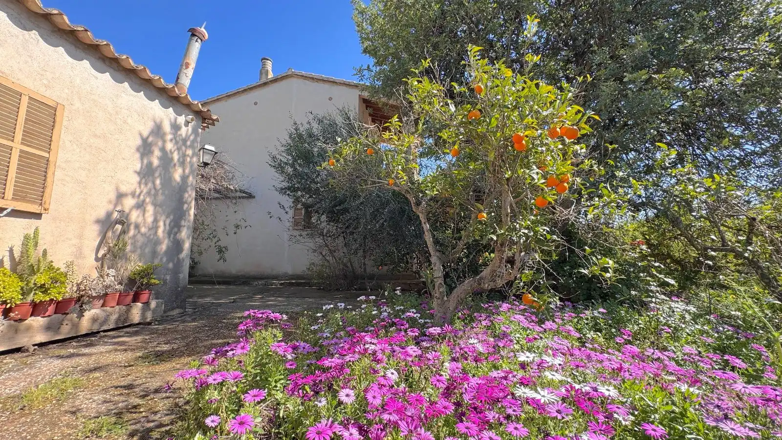 Jardín de Finca rústica en venta en Santa María del Camí con Calefacción, Jardín privado y Terraza