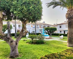 Jardí de Casa o xalet en venda en Orihuela amb Aire condicionat, Jardí privat i Parquet