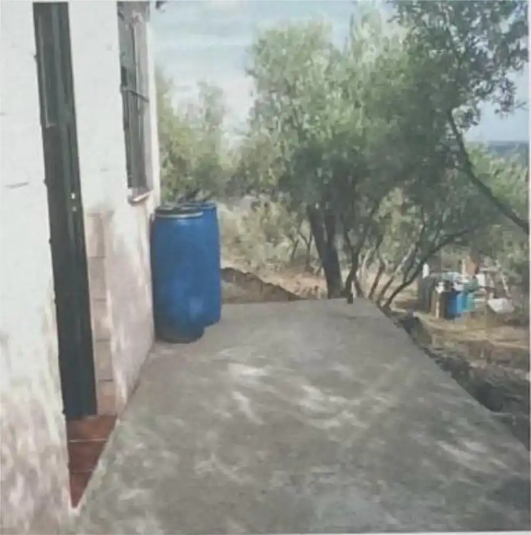 Jardí de Finca rústica en venda en El Pedroso