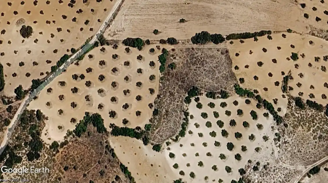 Rural land for sale in Villarejo de Salvanés