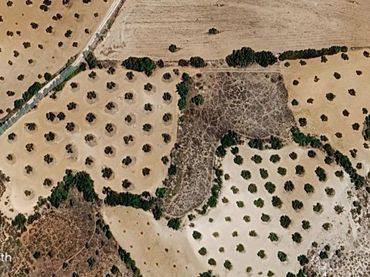 Rural land for sale in Villarejo de Salvanés