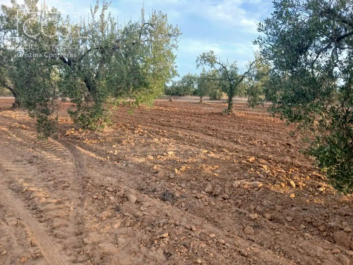 Terreni e lotti in vendita a Almonte ciudad, imagen 9