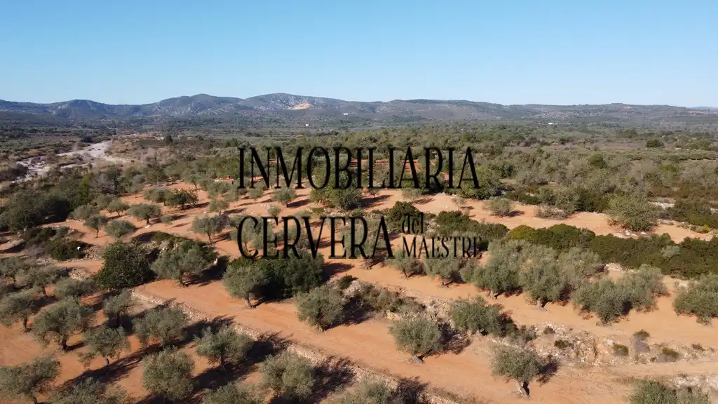 Vista exterior de Finca rústica en venda en Cervera del Maestre amb Terrassa