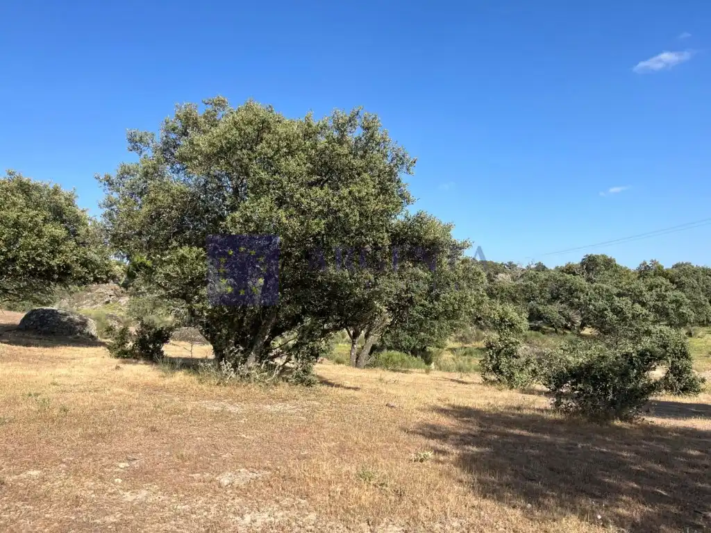 Houses for sale in Poligono 19 Paraje 668 Marrada De La Sociedad, Estación Arroyo Malpartida