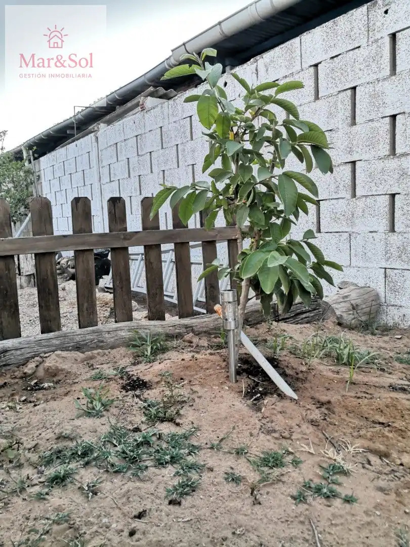 Garden of Houses for sale in Cullera  with Air Conditioner, Private garden and Terrace