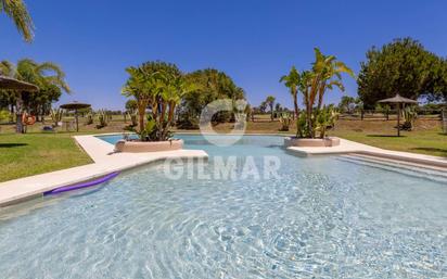 Garden of Single-family semi-detached for sale in Puerto Real  with Terrace