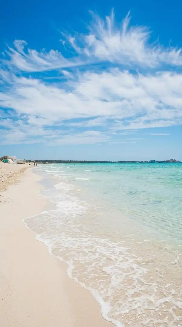 Exterior view of Flat for sale in Ses Salines