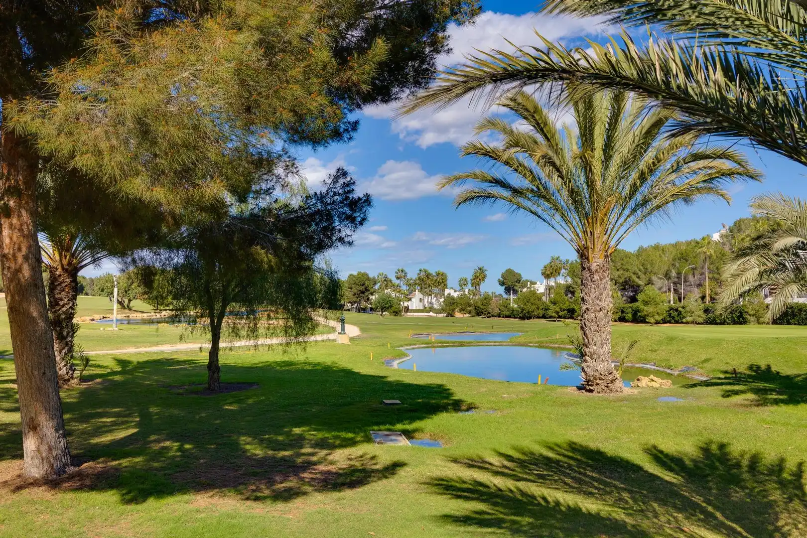 Mini appartamento con terrazza in affitto a Campo de Golf Lomas de Campoamor, imagen 74