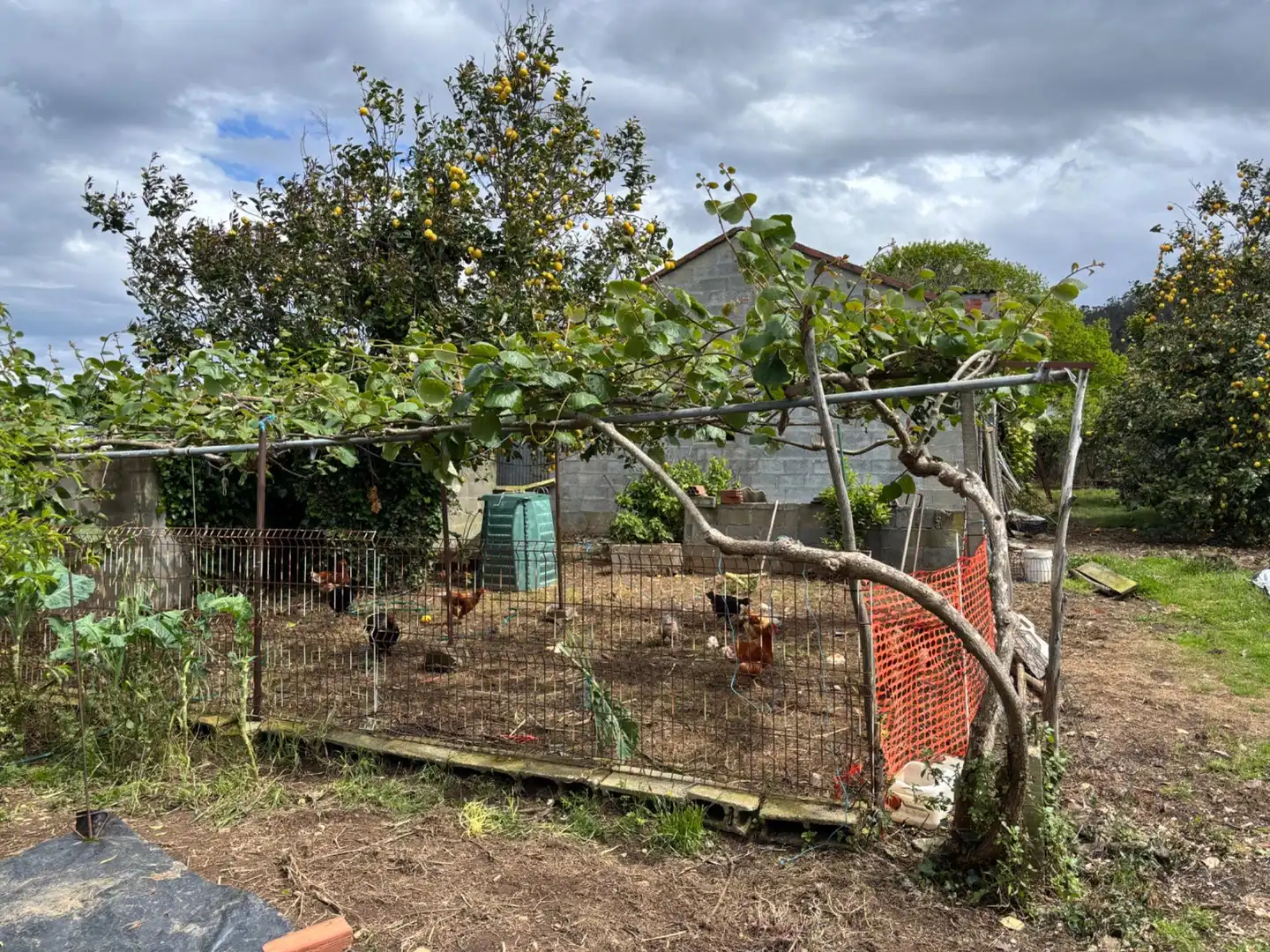 Jardín de Edificio en venta en Barreiros