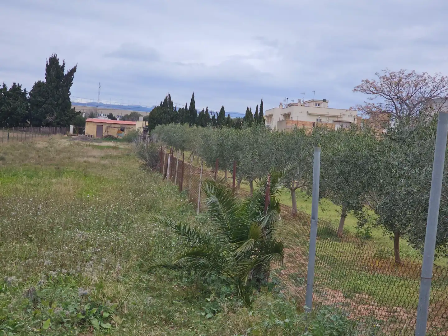 Country house for sale in L'Aldea, imagen 10