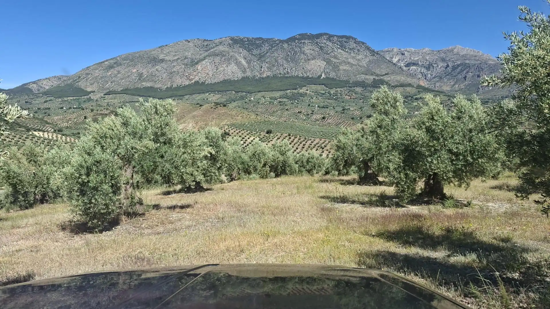 Terreny rústic en venda a Rois, imagen 5