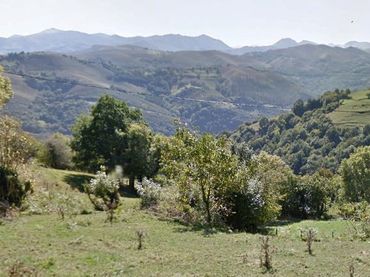 Terrain résidentiel à vendre à Grado