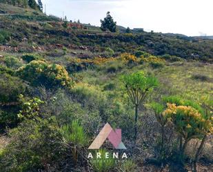 Land for sale in Calle las Cumbritas, 7, Cruz de Tea