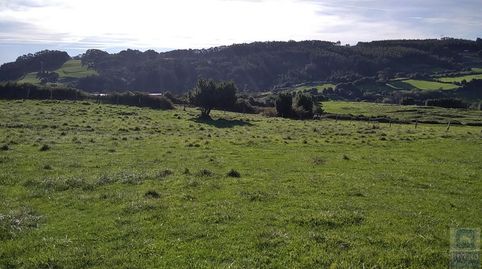 Finca rústica en Pervera (Carreño) a 7 km. de Gijón y Candas, immagine 5