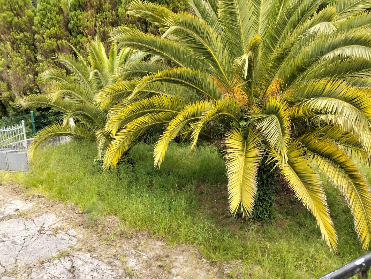 Casa en venda a Cedeira, imagen 9