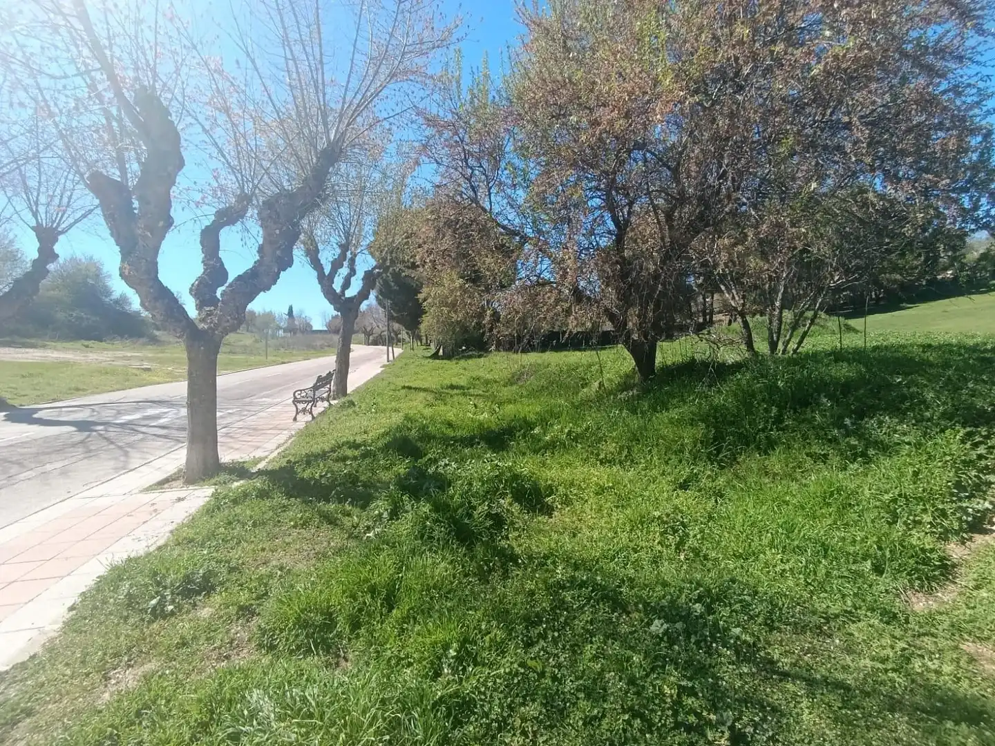 Terreny residencial en venda a Calle FUENTE 106, imagen 10