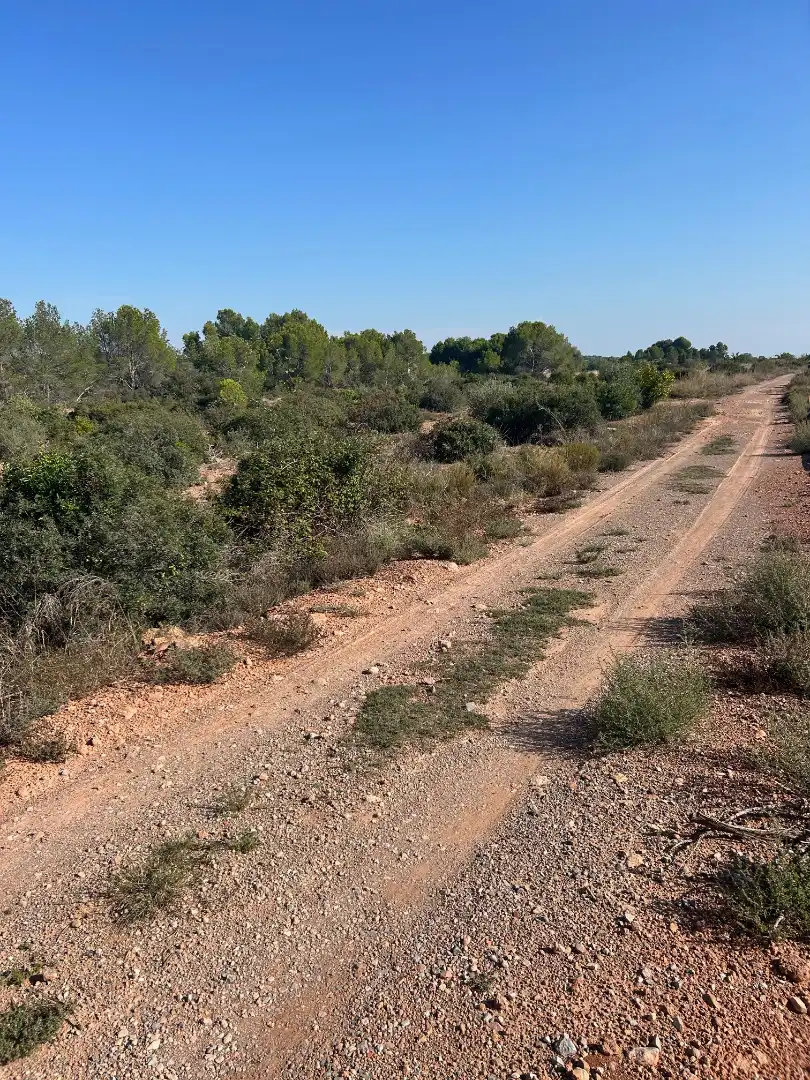 Terreno rustico in vendita a Plaça Poligono N-05.R, imagen 3