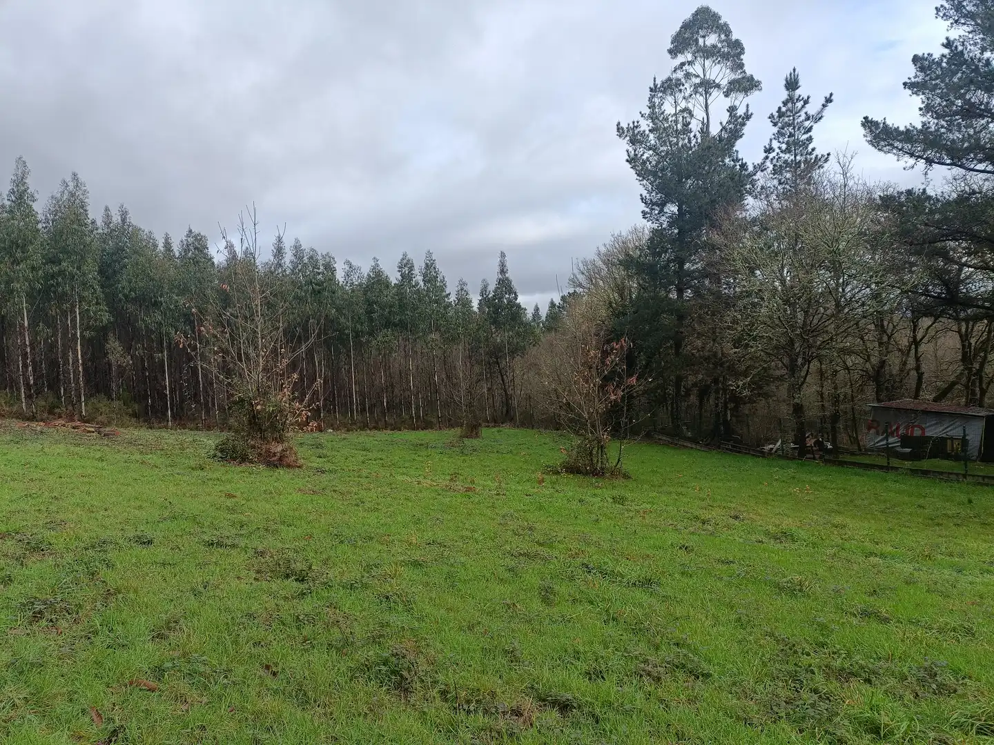 Casa o xalet en venda en Guitiriz amb Jardí privat