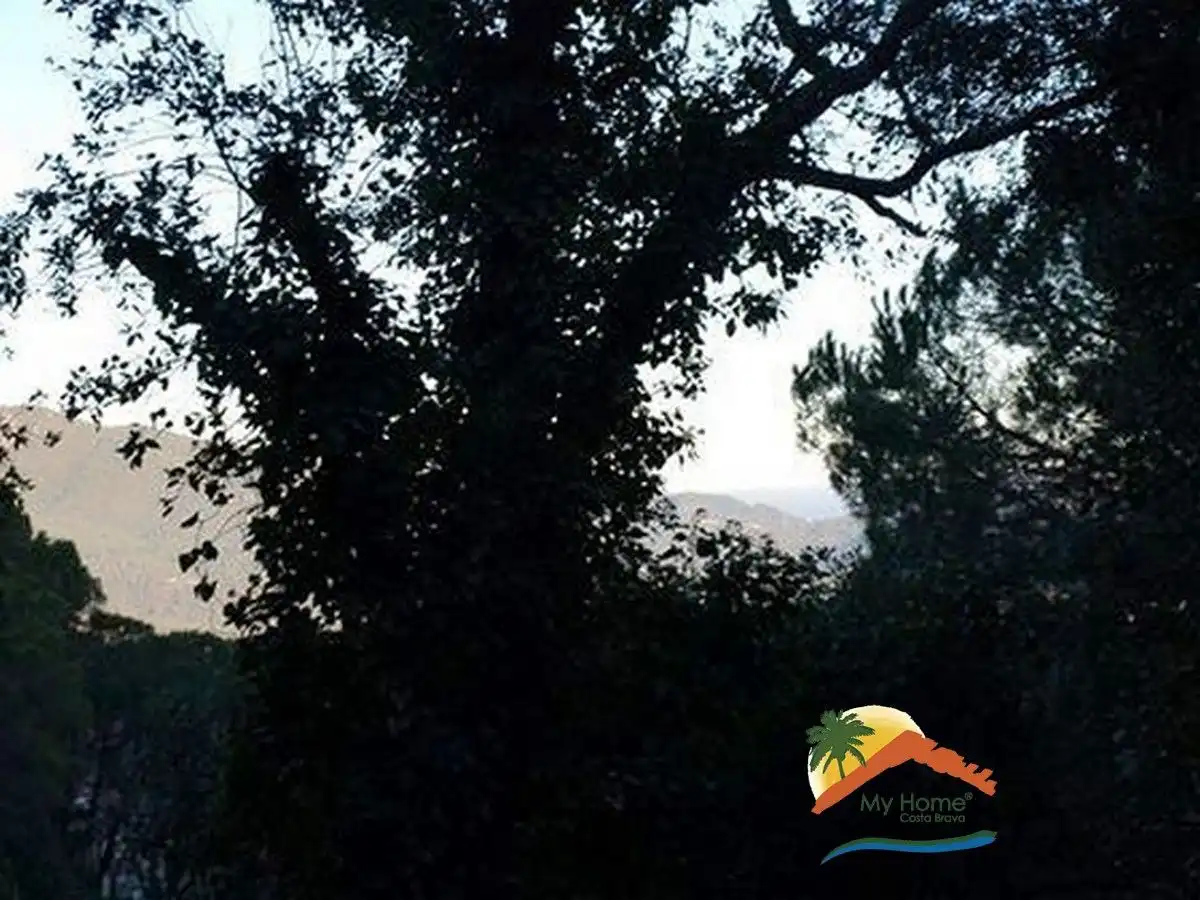 Terreno residencial en venta en Serra Brava, imagen 4