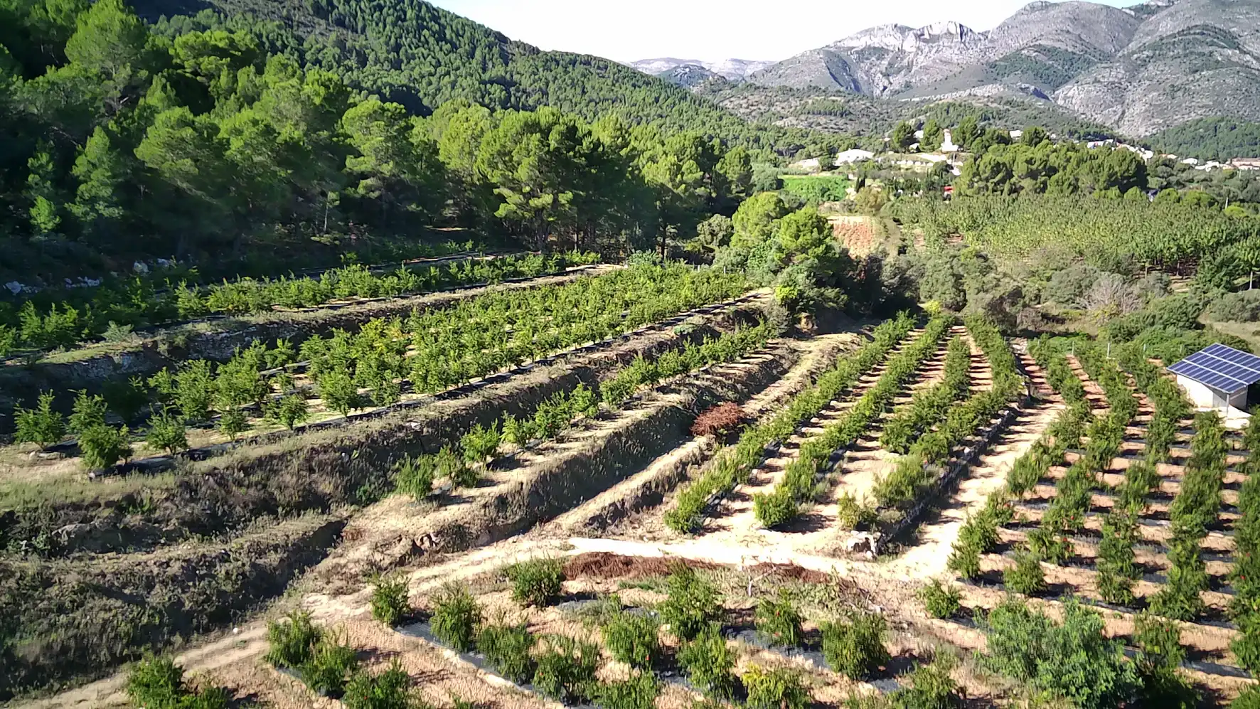 Terreno residenziale in vendita a Calles, imagen 7