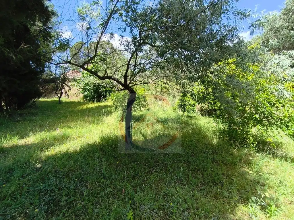 Casa o chalet en venta en Xàtiva