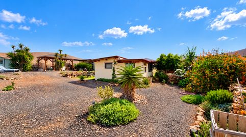 Foto 4 de Finca rústica en venta en Päjara pueblo, Pájara