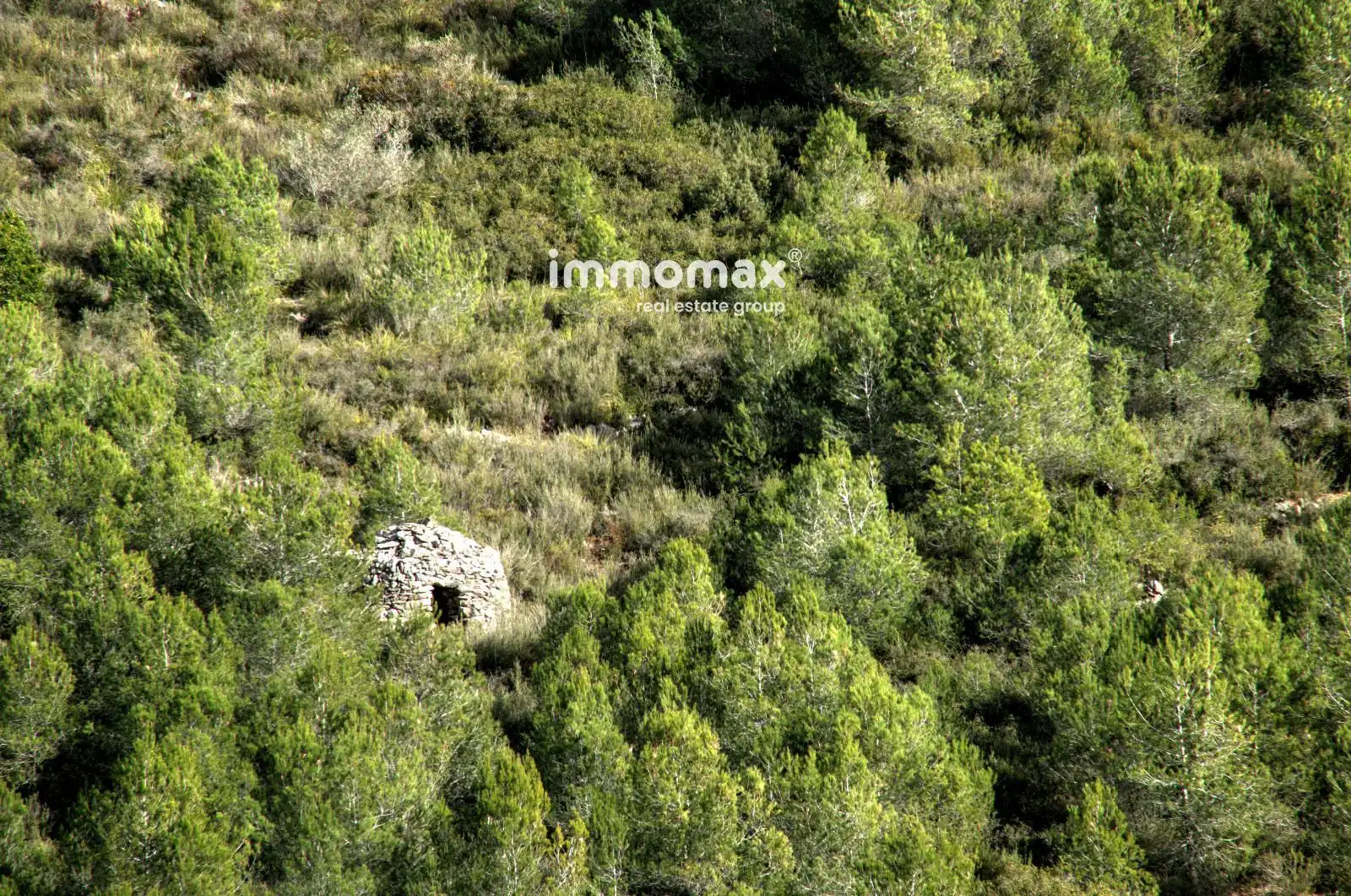 Maison avec piscine à vendre à Olivella, imagen 20