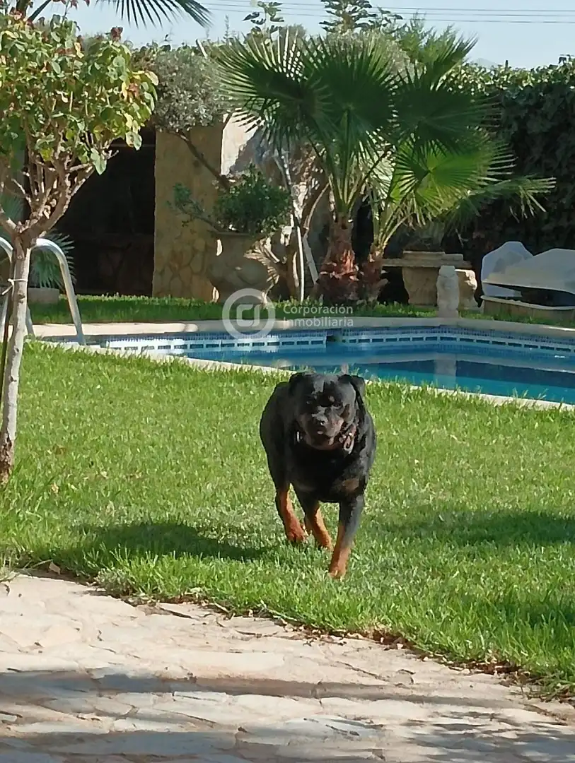 Xalet amb piscina en venda a Pedanías Centro, imagen 18