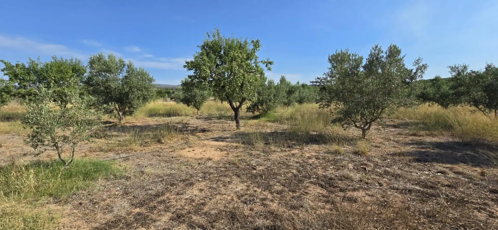Residential land for sale in Urbanizaciones, imagen 5