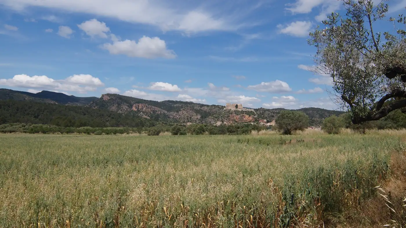 Terreno en venta en Ginestar