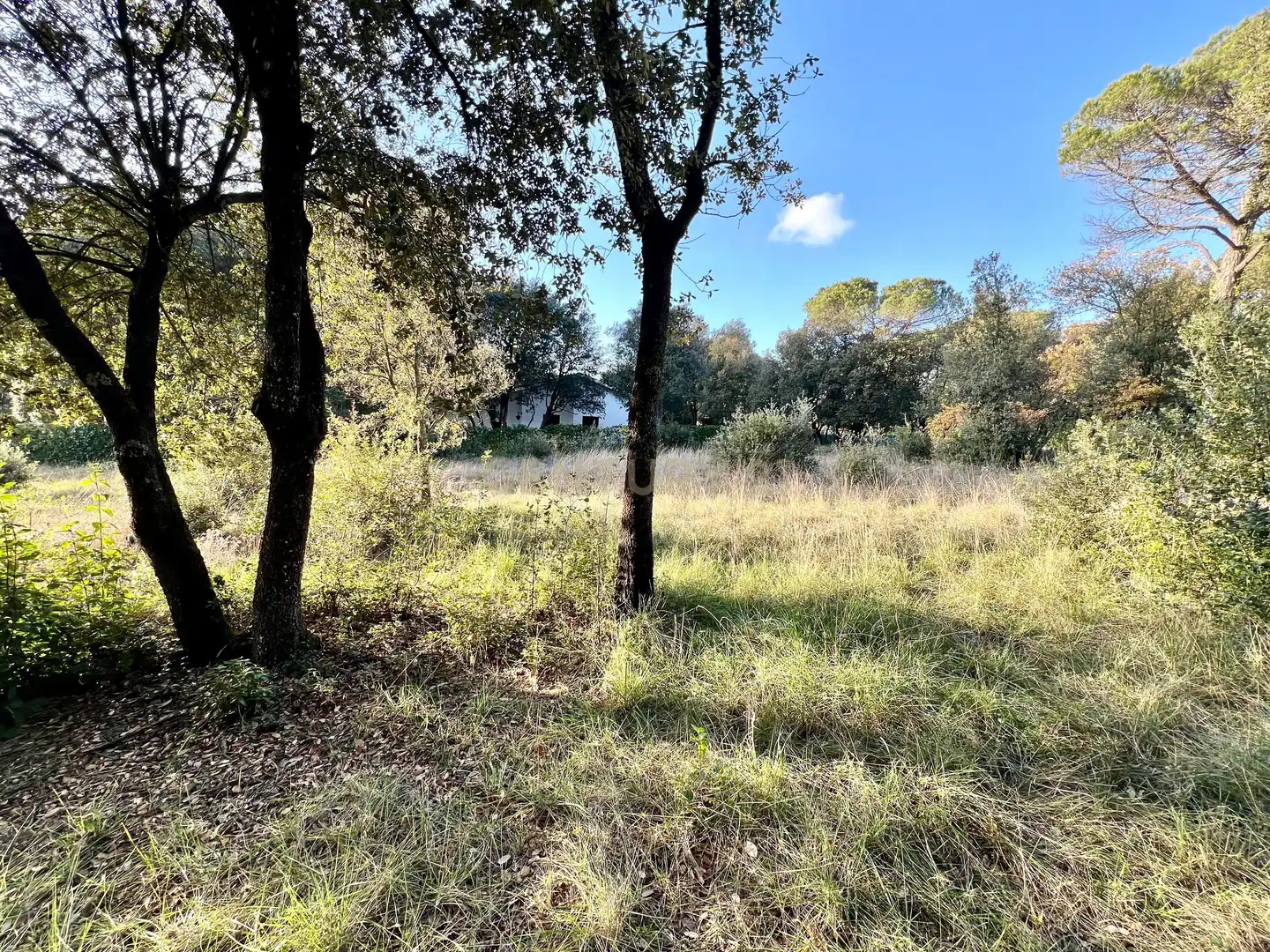 Terreno residenziale in vendita a LES AGUDES 5, imagen 4