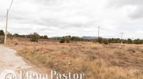 Foto 2 de Terreno en venta en Los Pinares - La Masia, Valencia