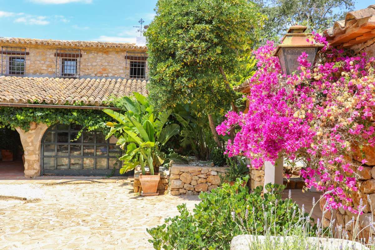 Garden of House or chalet for sale in Senija