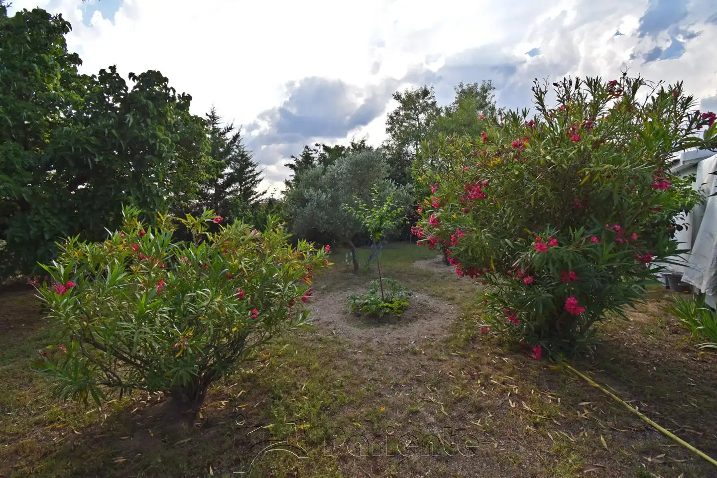 Jardí de Finca rústica en venda en Matapozuelos